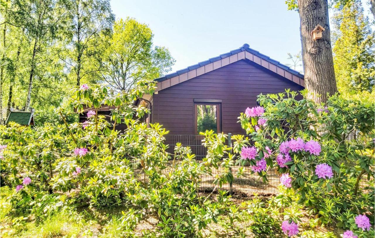 דנקרן Pet Friendly Home In Haren With Sauna מראה חיצוני תמונה
